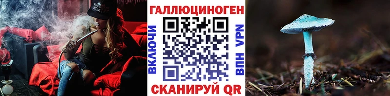 Купить где  Данков  Галлюциногенные грибы Magic Shrooms 